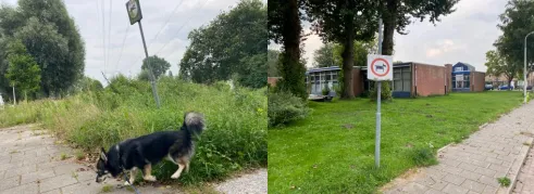 screenshot 20210824 155143