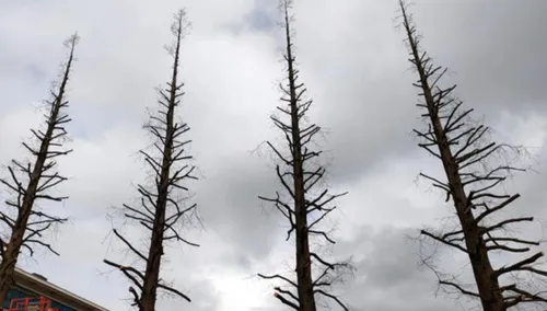 screenshot 20210902 104903