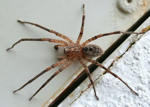 screenshot 20210911 103130