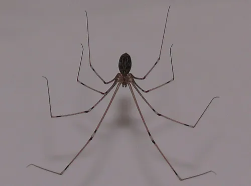 screenshot 20210911 103520