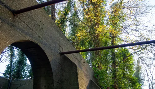 screenshot 20220210 172933