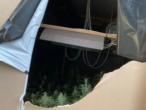 screenshot 20220211 094901