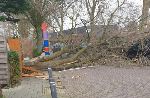 screenshot 20220218 175557