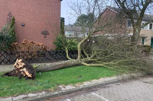 screenshot 20220221 155833