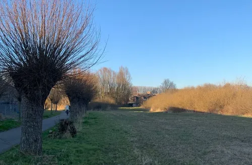 screenshot 20220310 174800