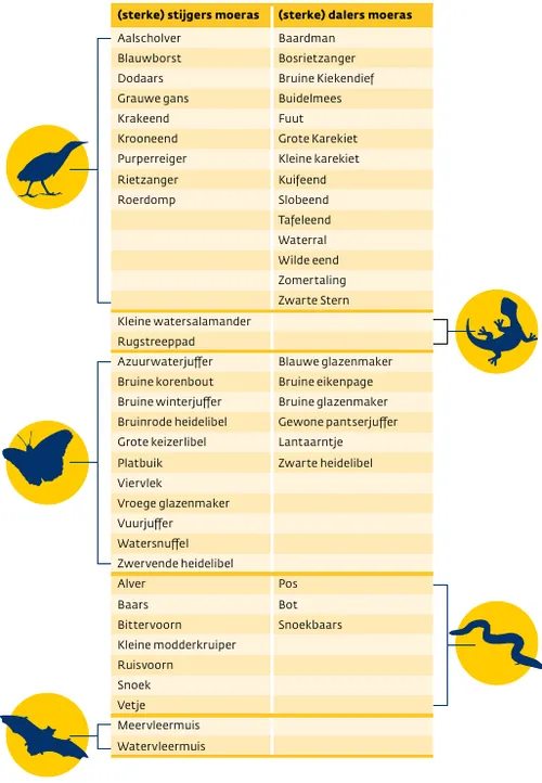 screenshot 20220324 133946