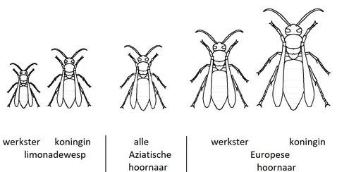 screenshot 20220405 095320