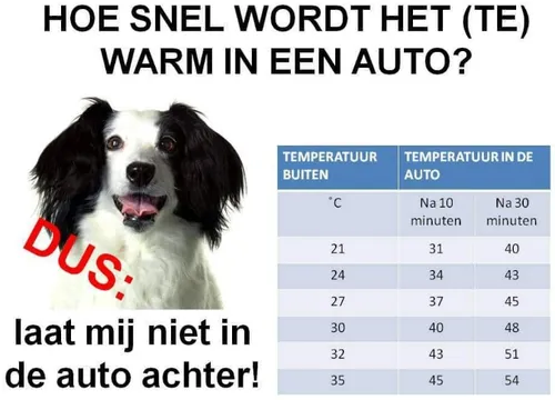 screenshot 20220618 093351