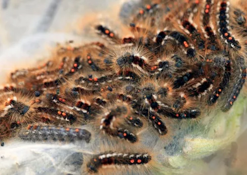 screenshot 20220705 133916