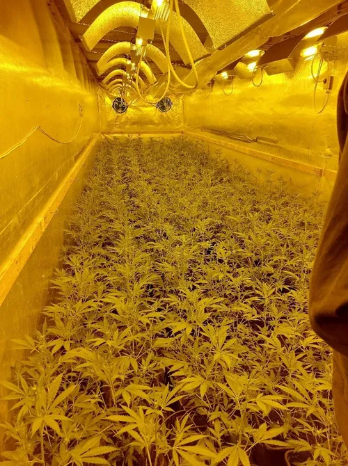 screenshot 20220707 110407