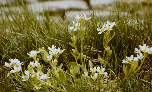 screenshot 20220710 110809