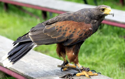 screenshot 20220809 125526