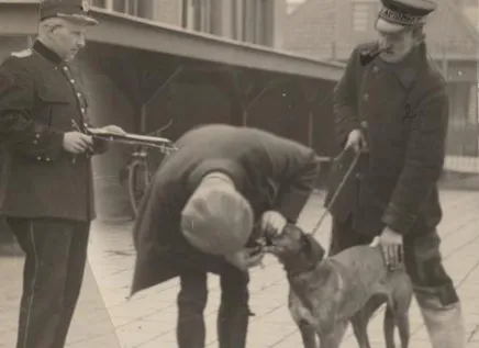 screenshot 20220815 122509