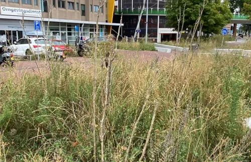 screenshot 20220826 134847