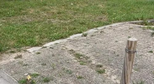 screenshot 20220830 081529