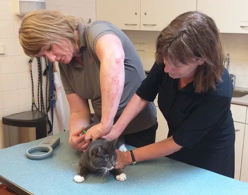 screenshot 20220922 110651