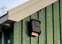 screenshot 20230217 123810