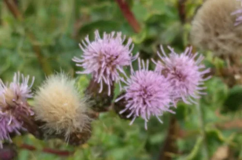 screenshot 20230426 123710