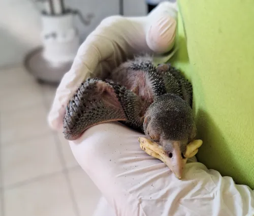 screenshot 20230520 110336