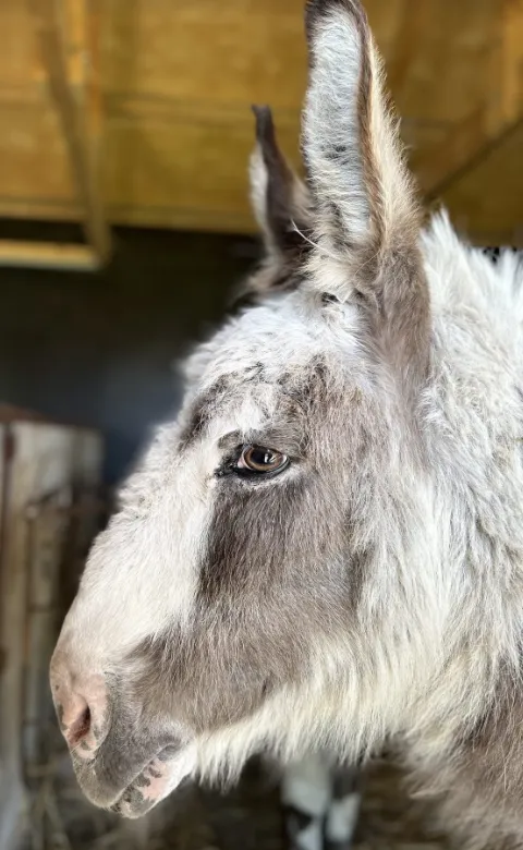 screenshot 20230727 113943