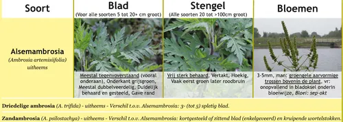 screenshot 20230801 130719