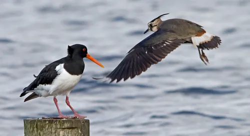 screenshot 20231022 115350