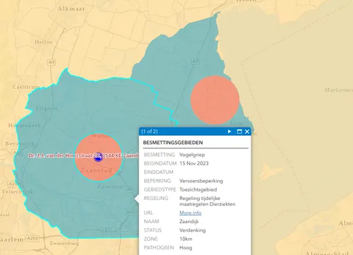 screenshot 20231116 055513