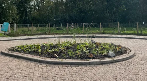 screenshot 20231201 090538