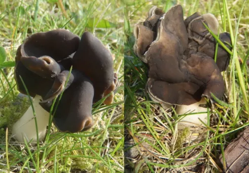 screenshot 20240410 124857