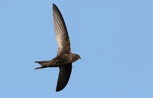 screenshot 20240507 155053