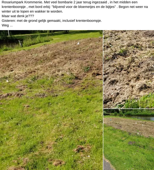 screenshot 20240615 100523