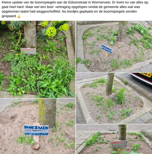 screenshot 20240615 101132