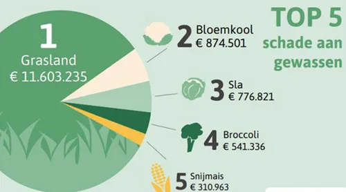 screenshot 20240621 132157