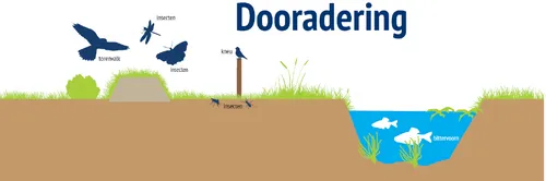 screenshot 20241006 131426