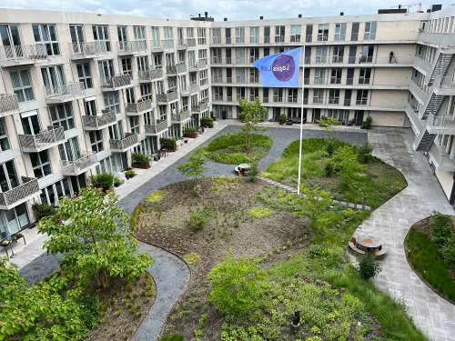 Ab Plugge (Heerhugowaard) die in het wooncomplex Lapis Lazuli uitkijkt op een gemeenschappelijke tuin die is gemaakt op het dak van de bewonersgarage.