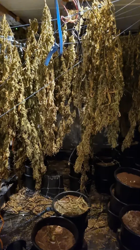 Bron: Gemeente Zaanstad