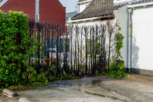 versteeg av producties 1 5