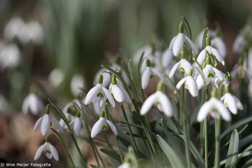 10446288 969898209688798 223848511256438885 o