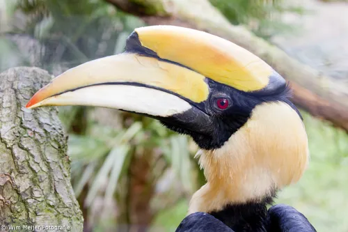 106128048 4581100168568566 6071767019663799353 o