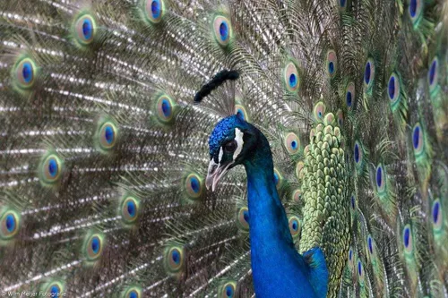 12418798 1157231147622169 7149552810865027522 o