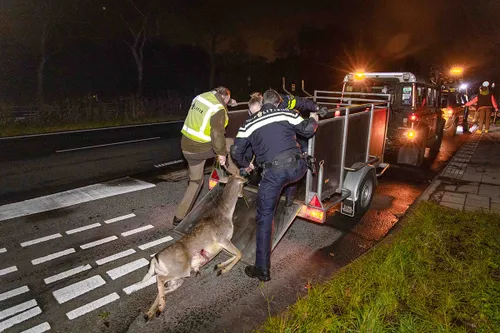 13 november 2021 nieuwsfoto zeeweg 07