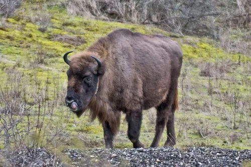 139680878 3563063480459559 275343388913178269 o