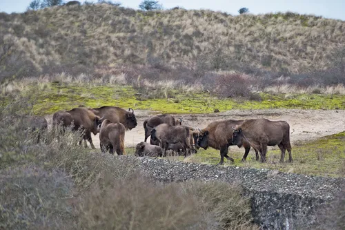 139749063 3563063667126207 214244102347330418 o