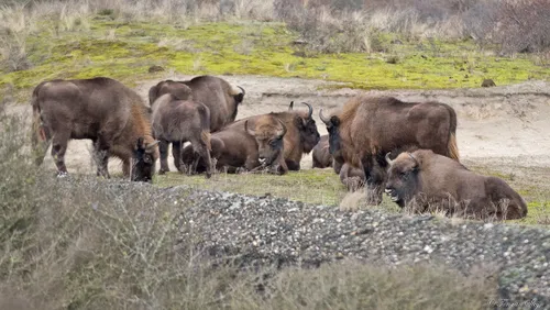 139915779 3563063497126224 7281526763082440982 o