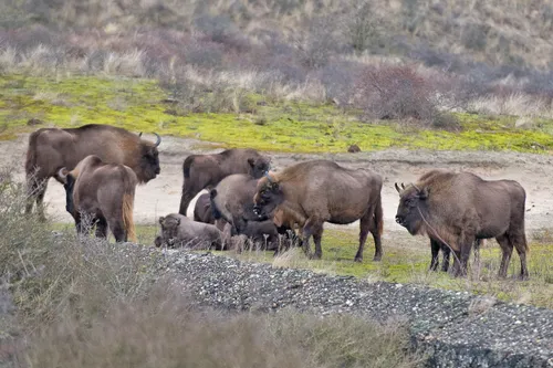 140095339 3563063610459546 8663461622980369578 o