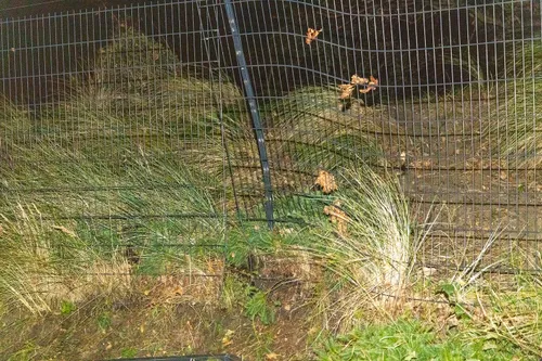 20231003 zandvoort 08