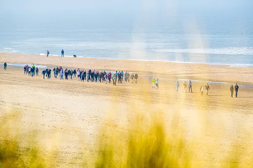 2787 1cd6242a0bced967ee417842cfa721d5