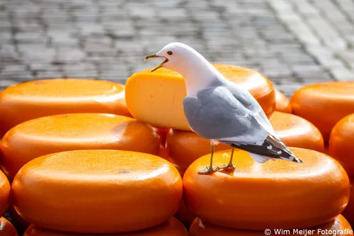 434587141 10226729564931291 7500925029286843708 n