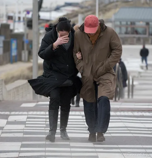 84576440 2658565327576050 5610393556880457728 o