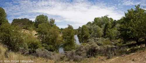 awd panorama3 15 6 2020